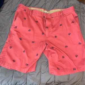 Izod Saltwater Men's Cargo Shorts